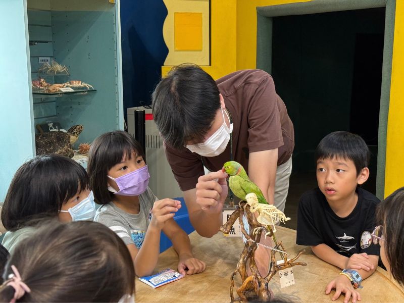 小朋友透過觀察與對照鳥類毛皮標本及頭骨標本，找出鳥類眼、耳、鼻、喙等位置。（圖／王韻涵）