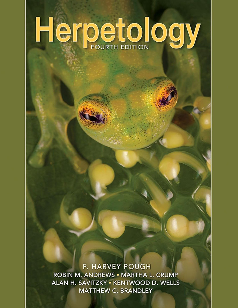 Herpetology 兩棲爬行教科書。（圖／取材自 Herpetology）