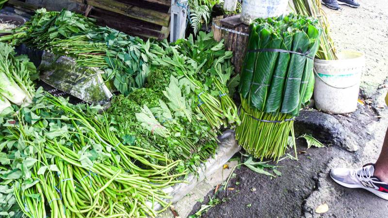 蔬果區的綠色菜攤，除了常見的培植蔬菜之外也有幾種野菜。（圖／黃興倬）