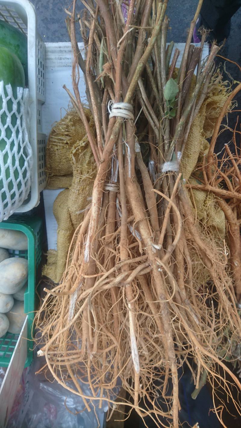 兔尾草的根綁成把販售。（圖／王秋美）