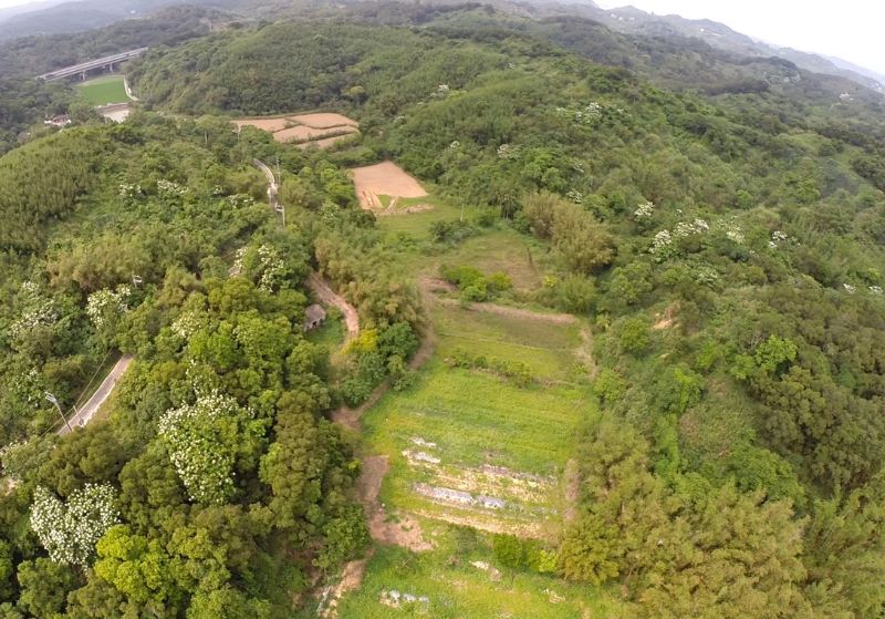 淺山農園的人為鑲嵌環境剛好是石虎的最佳棲地。