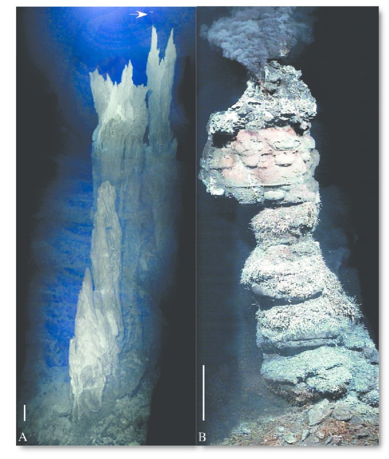 「失落的城市」鹼性熱液活動區以及「黑煙囪」海底熱泉的比較。兩處比例尺均為一公尺。鹼性噴口可累積達60公尺高，相當於20層樓。頂部白色箭頭指著固定在上面的探針，較白的區域是熱液最活躍的地方，但不像「黑煙囪」，它沒有黑煙(圖／取材自 Biochemist, 37 (5))。