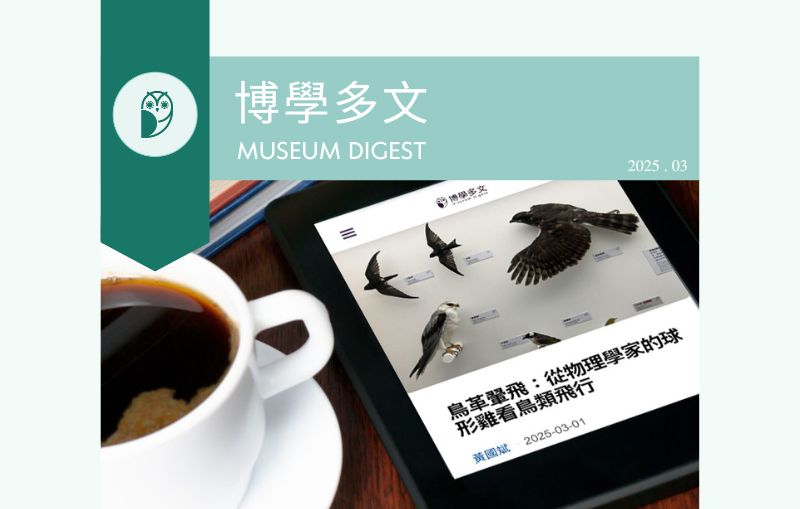 2025博學多文3月新訊