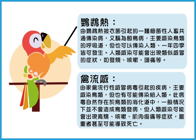 鸚鵡熱和禽流感是兩種會引起鳥類死亡的疾病,而且可能傳染給人類,造成不適。(圖/曾柏強)