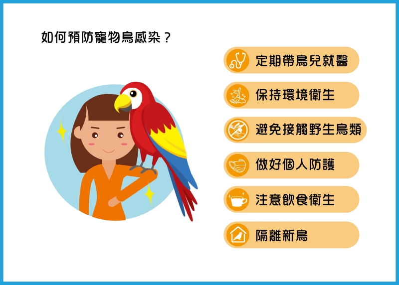 如何預防寵物鳥感染禽流感及鸚鵡熱(圖/曾柏強)