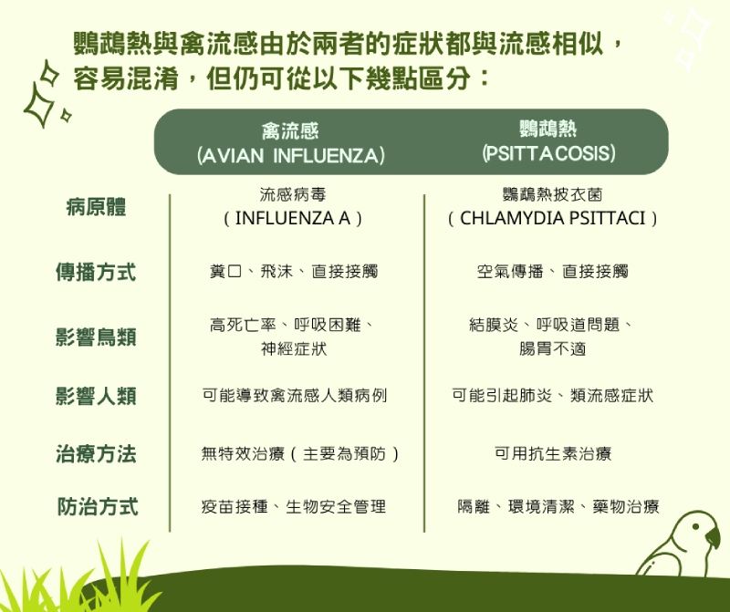 人類感染鸚鵡熱與禽流感,由於兩者的症狀都與流感相似,要如何區分。(圖/曾柏強)