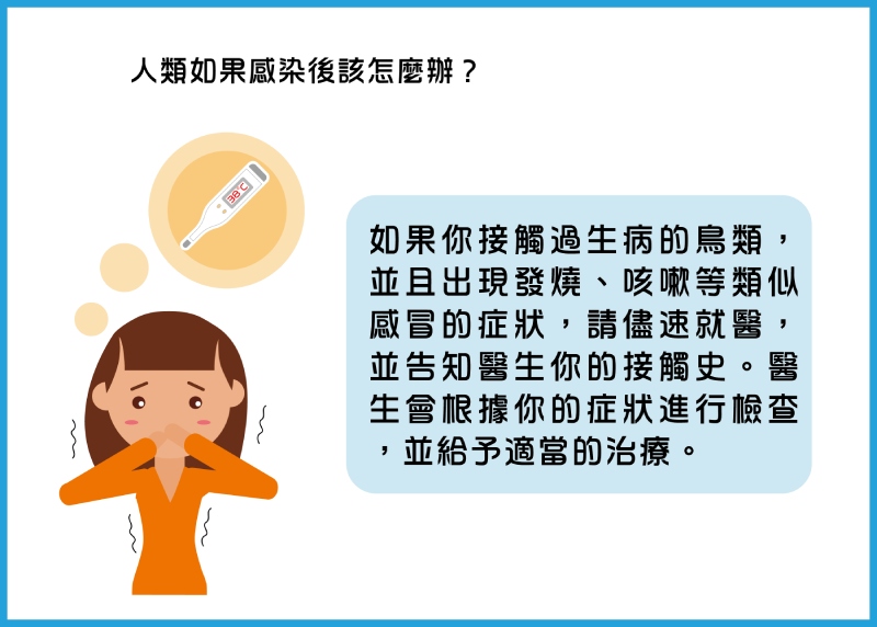 人類如果感染,請儘速就醫並告知你的接觸史。(圖/曾柏強)