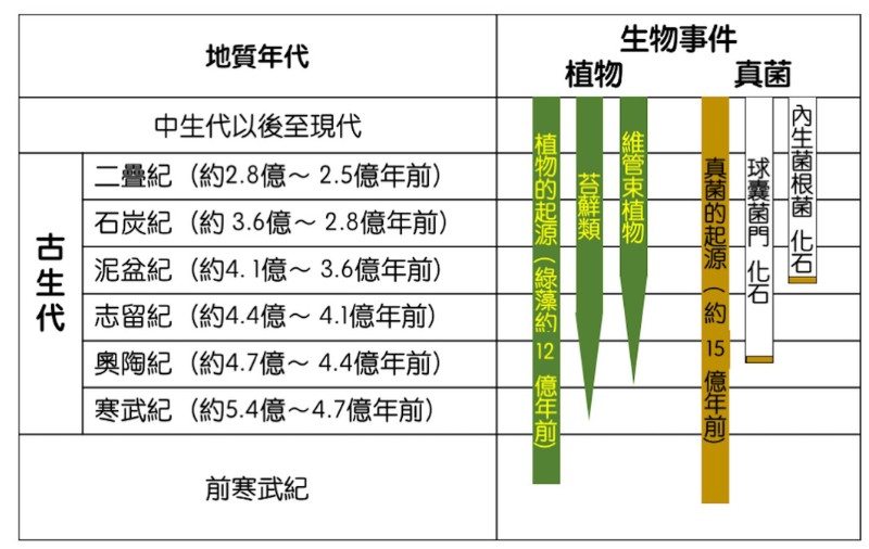 植物與真菌的演化事件與地質年代表