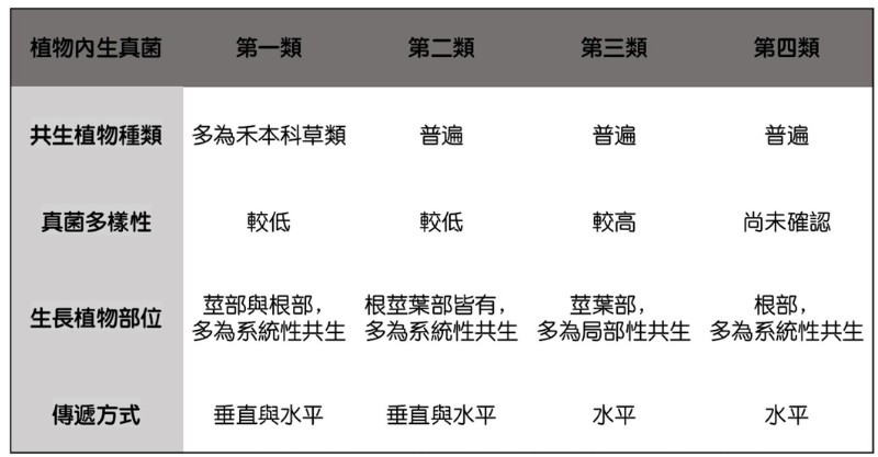 植物內生真菌特徵說明簡表,參考自 Rodriguez 等人,2009 製成。