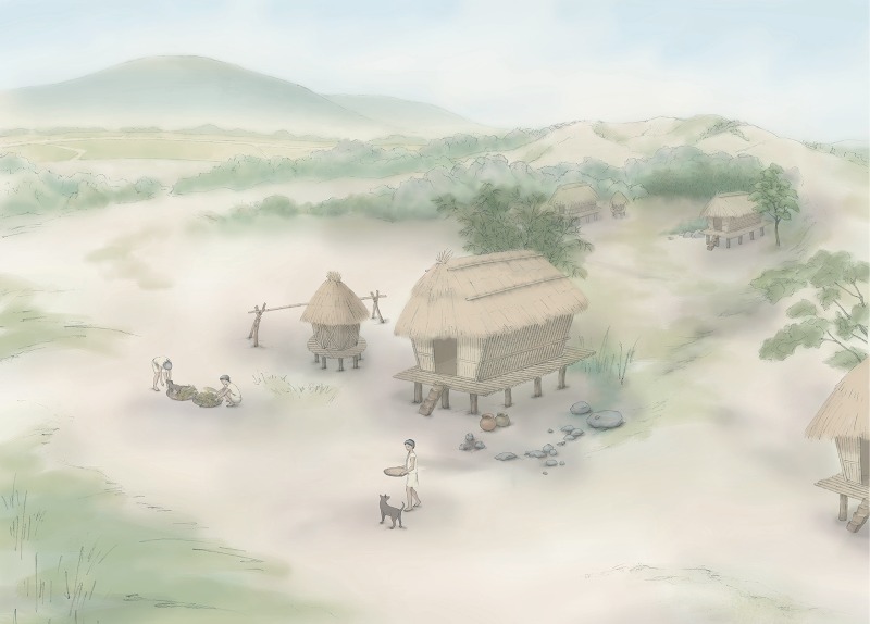 干欄屋與穀倉（圖／劉曉嵐）