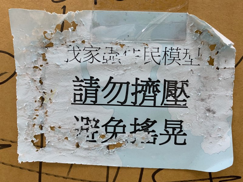 遭澳洲壯蠊啃咬之紙張（圖／詹美鈴）