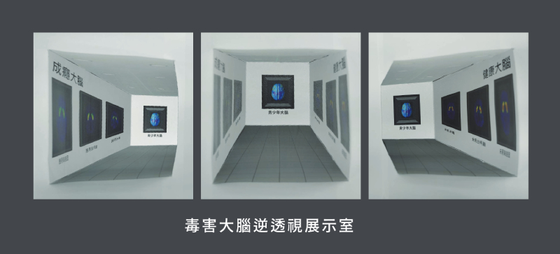 利用逆透視的視錯覺，讓觀者對透視線索產生不同的解讀，以為凹下去的面實際上是凸出的，而凸出的面卻是凹下去的。（圖／楊中信）