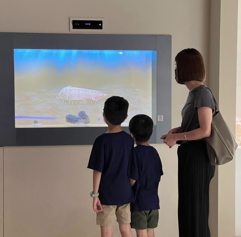 透過 OLED 透明螢幕解說三葉蟲演化背景(圖/黃鈞彥)