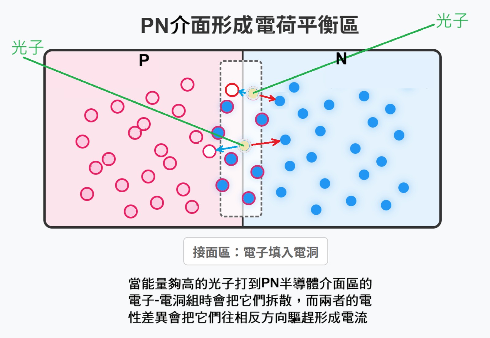 當 PN 半導體的介面照到光的時候，能量夠高的光子會把電子 – 電洞對拆散。如果線路是接通的，被拆散的電子會被電場驅使向一邊（右邊），而電洞則是向相反方向（左邊）移動。當介面附近的電子 – 電洞對不斷被陽光拆散並流動時，就產生了電流。太陽能板就是這樣把陽光變成電流的。（圖／林志隆）