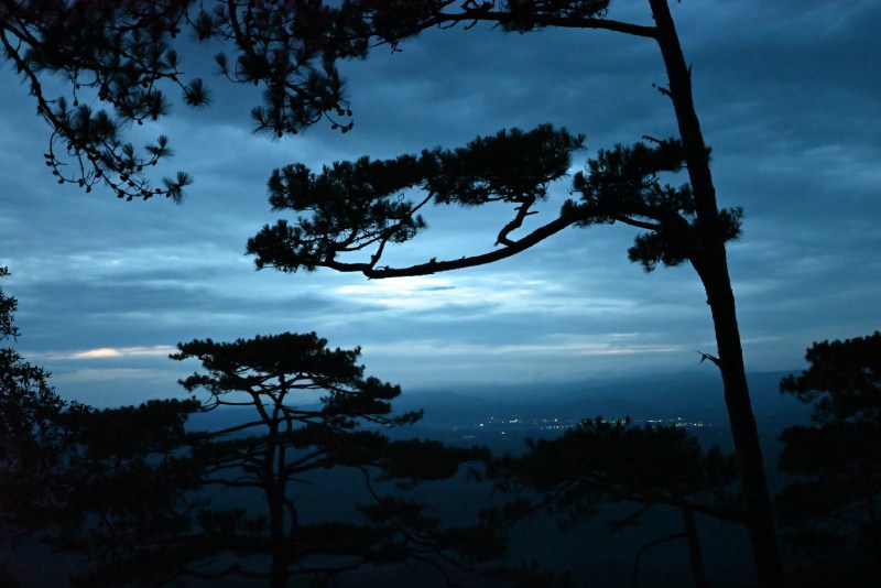 摸黑走在稜線小徑上的風景，望著松影及遠方的人間煙火。（圖／陳哲志）