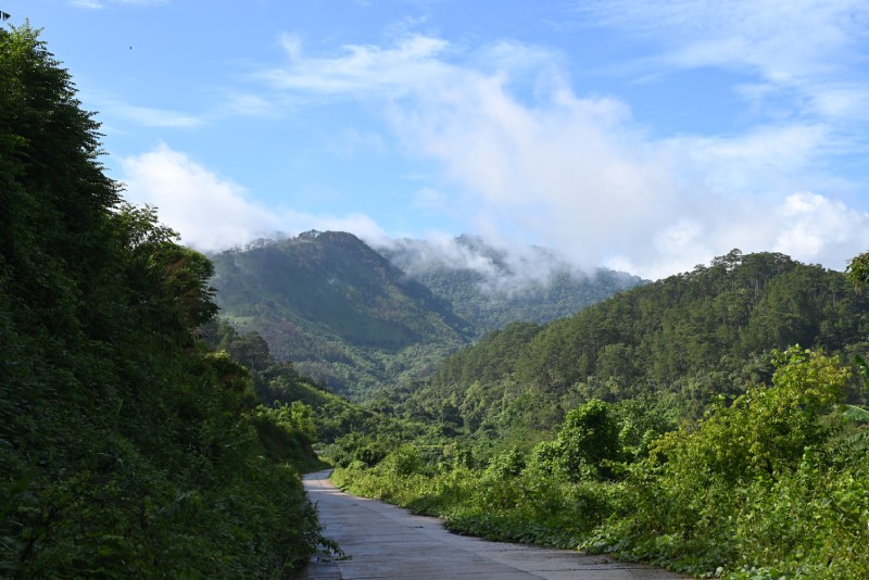 Dung K'No 地區的低海拔森林（圖／陳哲志）