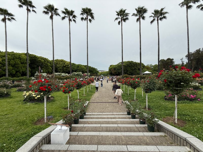 最具人氣的玫瑰花園（圖／胡維新）