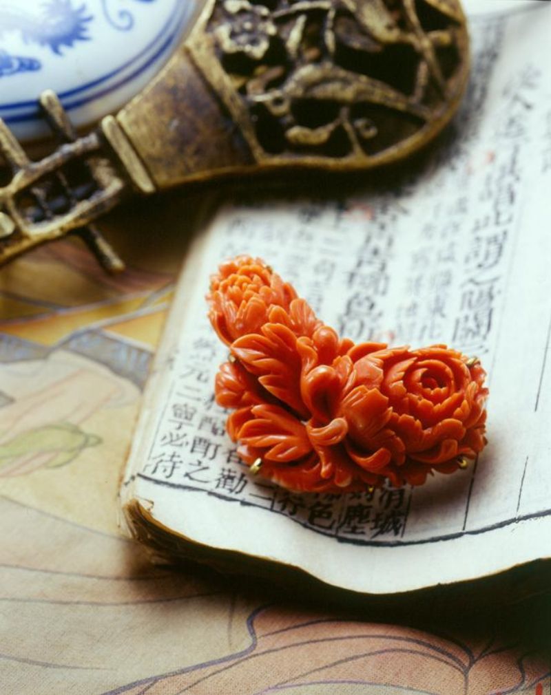 桃紅色的 Momo 珊瑚