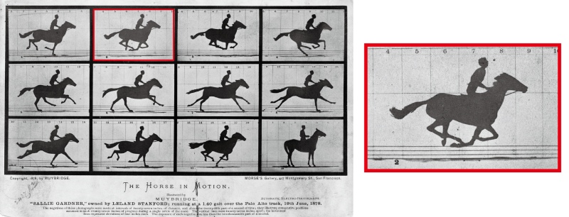 1878 年《飛馳中的馬》系列照片與特展圖卡所採用的四蹄騰空馬影像（圖／取材自維基百科 / 美國國會圖書館）