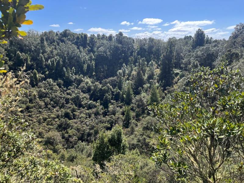 朗伊托托島過往主要噴發的火山口，現已被各式植物覆蓋。（圖／許冠毅）
