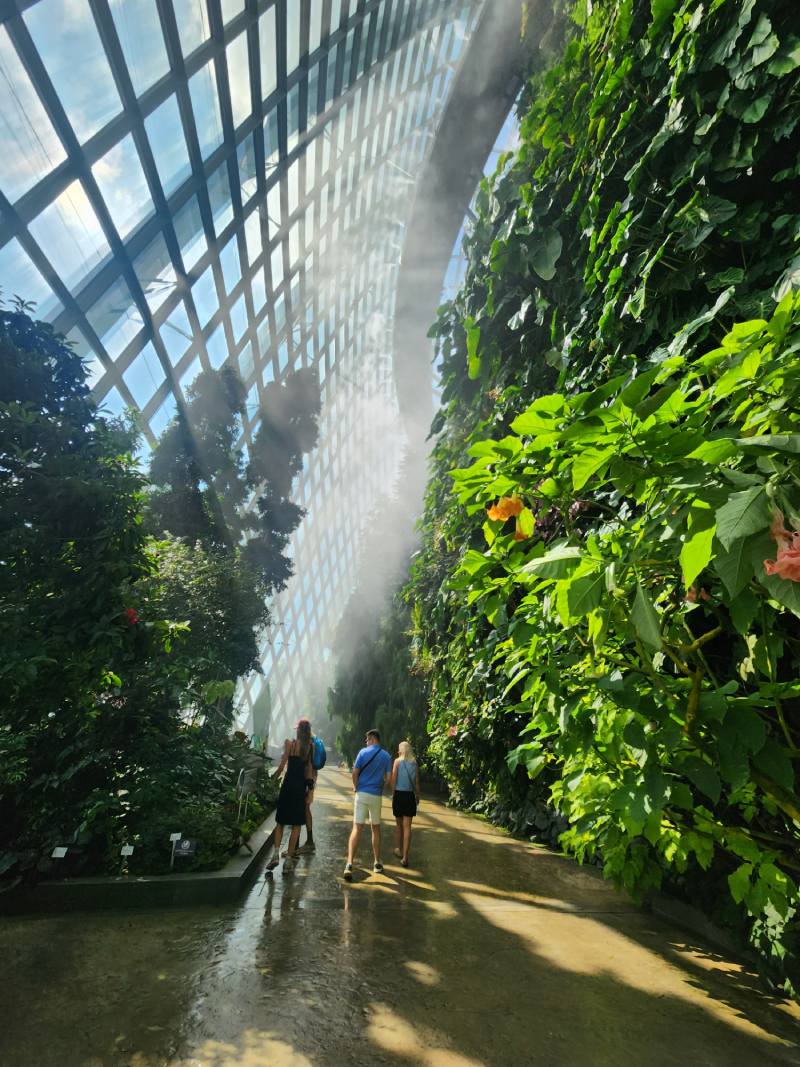 人造霧氣維持溫室內 80 - 90% 空氣濕度,有利於植物生長。(圖/陳盈君)
