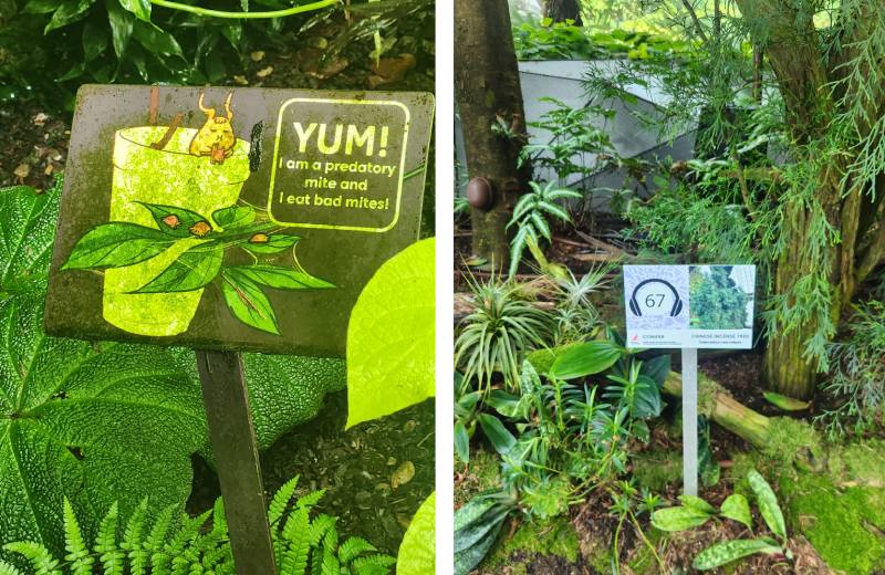 左圖為友善環境的生物性防治;右圖為植物標示牌及語音導覽編號。(圖/陳盈君)