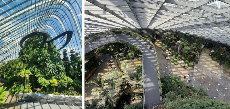 雲霧森林的天空步道,行走其間可欣賞高處植栽,亦可向下觀察整體植栽配置。(圖/陳盈君、錢易炘)