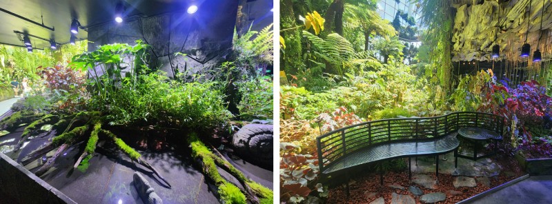 雲霧林溫室接近出口處的祕密花園,增加人工補光設施、搭配地形設計的座椅。(圖/陳盈君)
