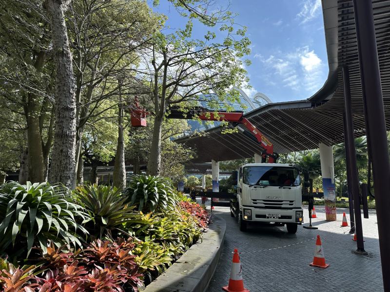 戶外植栽修剪作業(圖/錢易炘 )