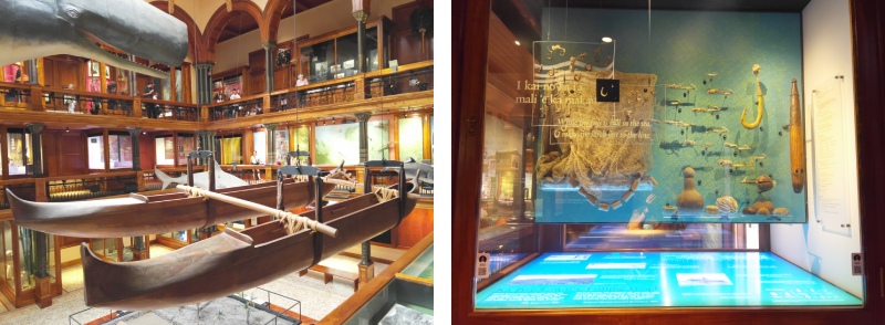左圖為畢夏普博物館的夏威夷廳的雙體船;右圖之展版標題,採夏威夷語和英語雙語並置說明。(圖/楊翎)