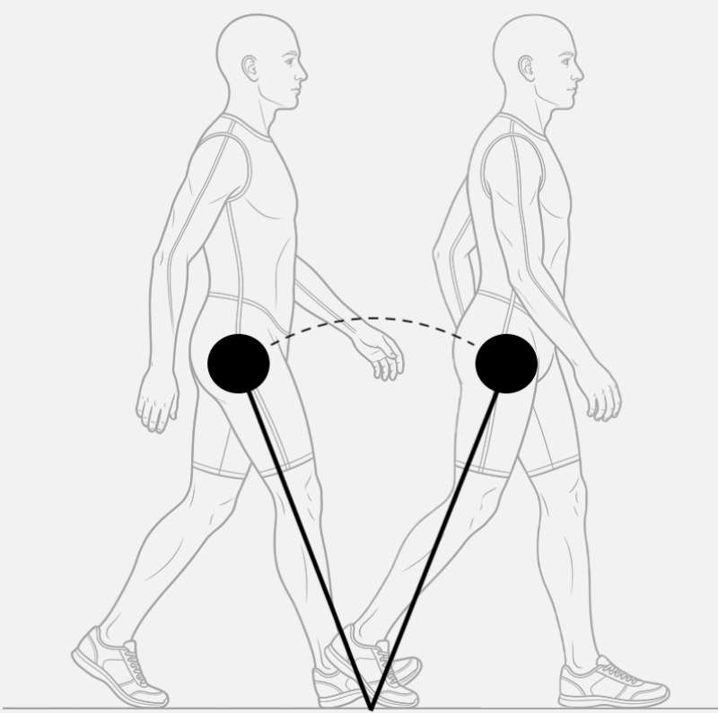 支撐腿的倒單擺類比及其對應的擺動腿理論（圖／黃國斌）