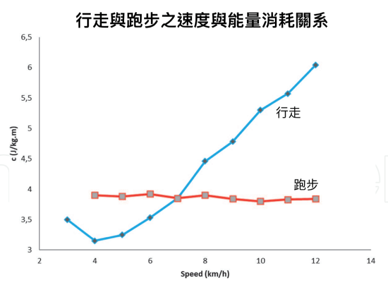 行走與跑步随著速度變化所產生的能量消耗關係（圖／取材自 Bunc, Vaclav. (2022)）