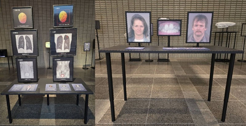 左圖毒損健康展品(光柵立體手法),右圖毒毀容貌展品(亞岡動態圖手法) 。(圖/楊中信)