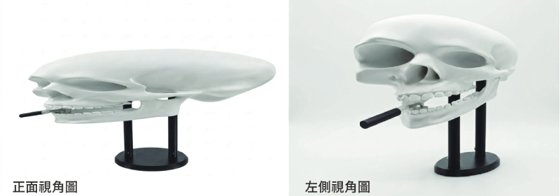 喪屍煙彈骷髏頭展品(透視變形手法)(圖/楊中信)