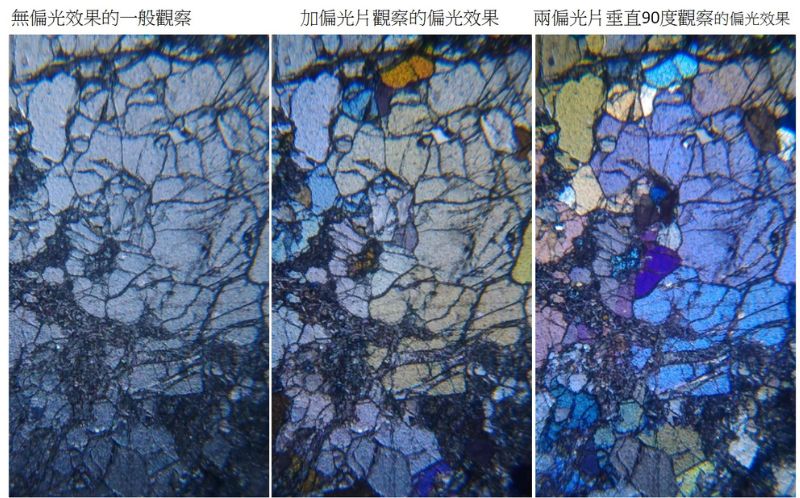 解剖顯微鏡觀察橄欖石磨片的直角偏光效果