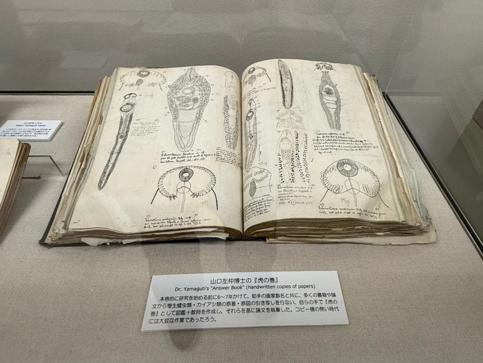 位於東京都目黑區的寄生蟲博物館的精美手繪科學繪圖展品。這個博物館小而美，展示內容專業、設計極有巧思。（圖／姚秋如）