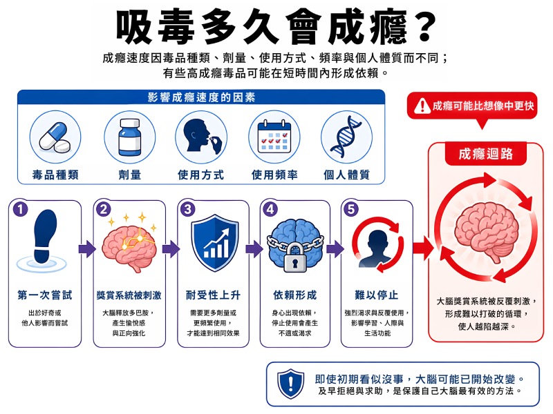 「吸毒多久會成癮？」說明圖