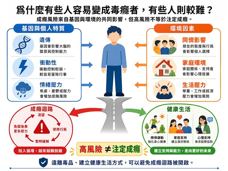 「為什麼有些人容易變成毒癮者，有些人則較難？」說明圖