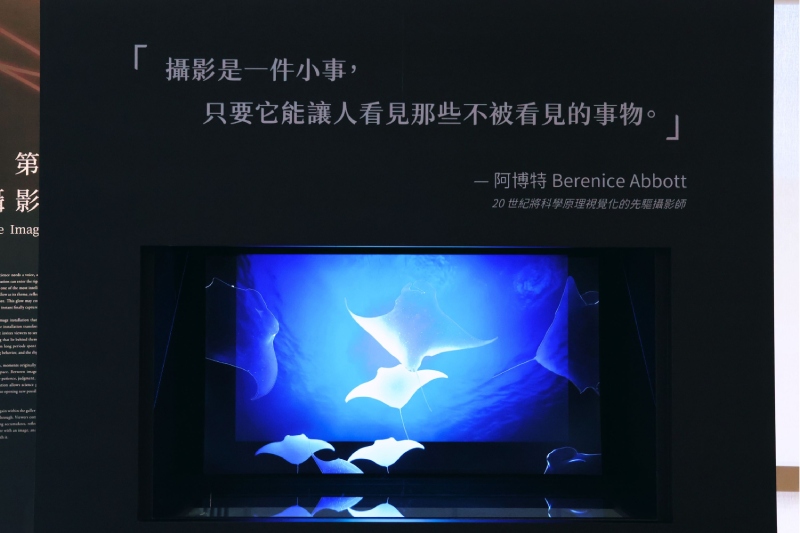 經過影像分層與動態化處理後,魟魚影像彷彿漂浮於空間中。 (圖/黃歆甯)