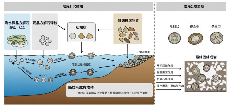 鮞粒岩形成模式示意圖