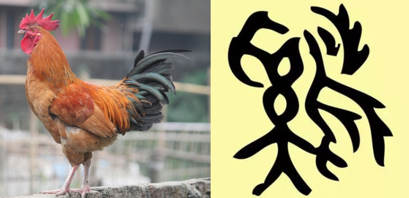 雞字甲骨文（左圖／取材自 Canva）