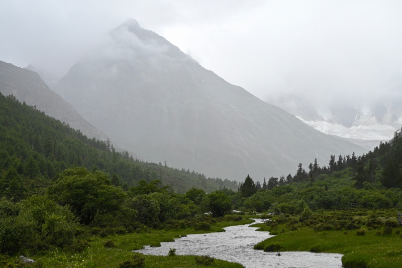 沙魯里山脈南部霧雨中的高山與溪流