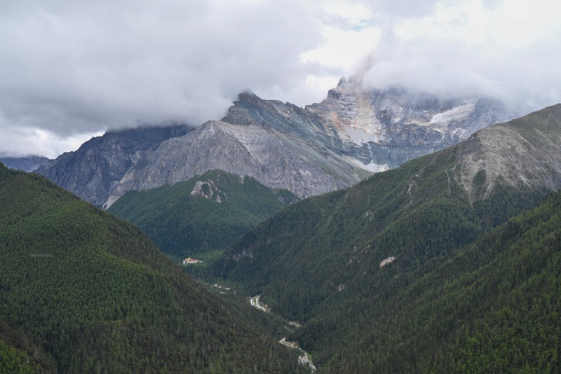 沙魯里山脈南部雲霧中的高山與針葉林